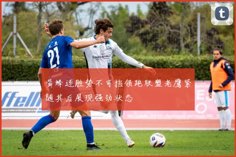 黄蜂连胜势不可挡领跑联盟老鹰紧随其后展现强劲状态