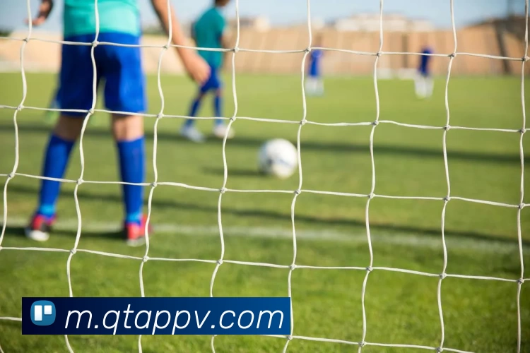 球探体育App平台生态图